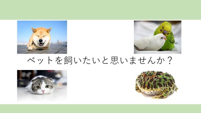 スライド4