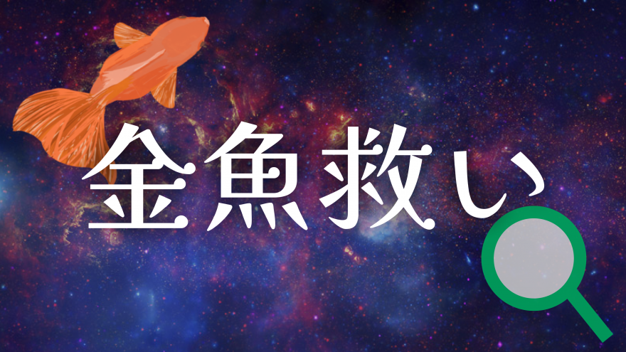 kingyo-sukui_title